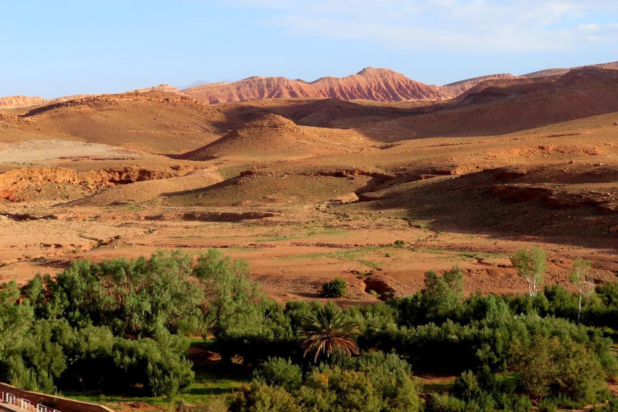 Tigmi Hamid Decouverte Des Traditions Et De La Culture Berbere Ait Benhaddou Exteriör bild